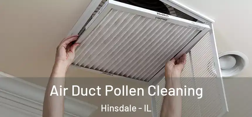  Air Duct Pollen Cleaning Hinsdale - IL