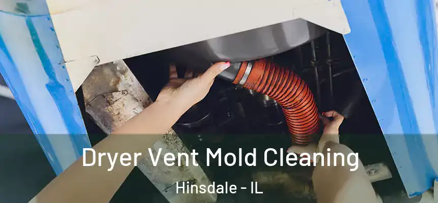  Dryer Vent Mold Cleaning Hinsdale - IL