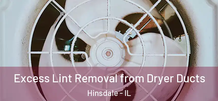  Excess Lint Removal from Dryer Ducts Hinsdale - IL