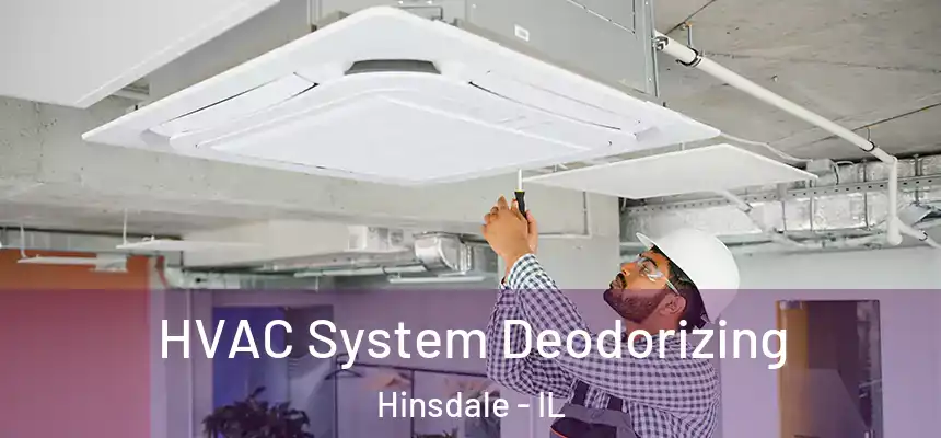  HVAC System Deodorizing Hinsdale - IL
