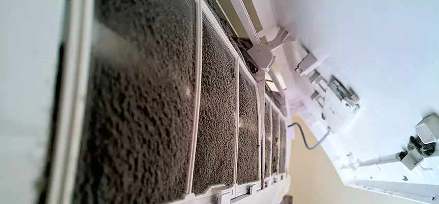 Preventive Air Duct Bacteria Removal in Hinsdale