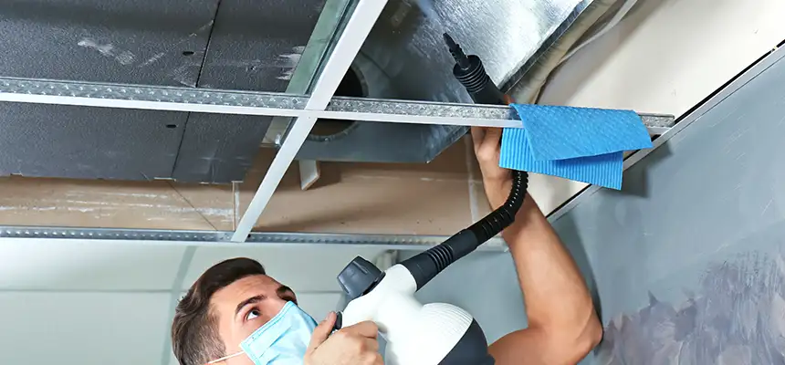 Our Air Duct Rodent Removal Services in Hinsdale, IL