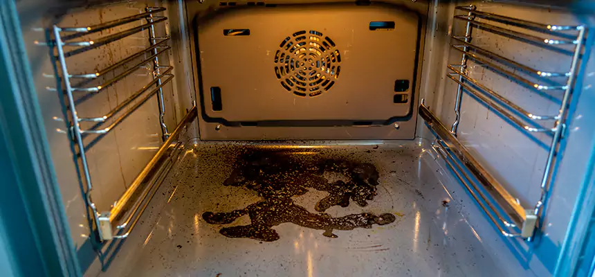 Our Dryer Vent Mold Cleaning Services in Hinsdale, IL