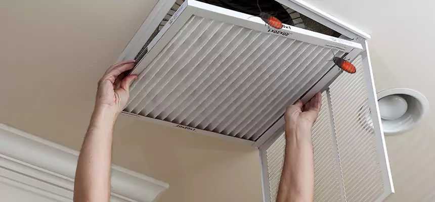 Our Insect Removal from Air Ducts Services in Hinsdale, IL