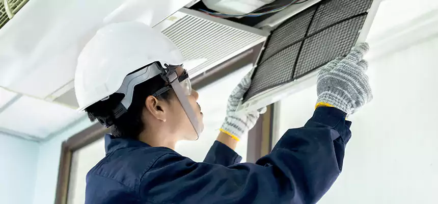 Our Mold & Mildew Removal from Air Ducts Services in Hinsdale, IL