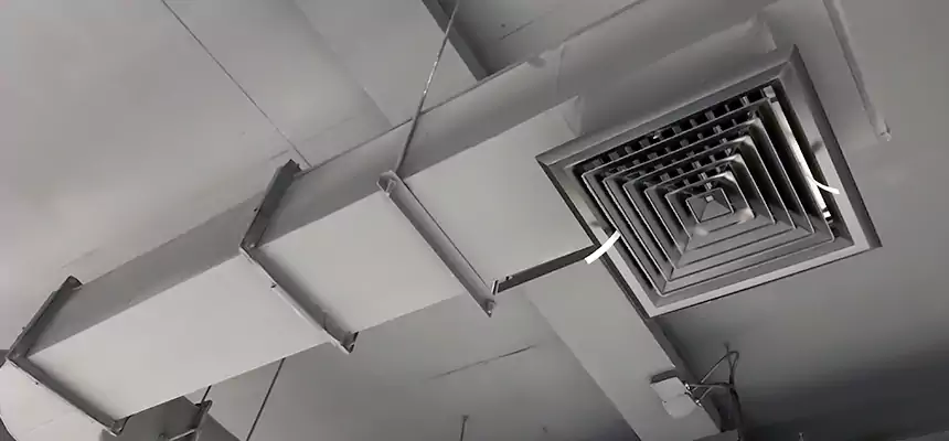 Our Pest Removal From Ducts Services in Hinsdale, IL