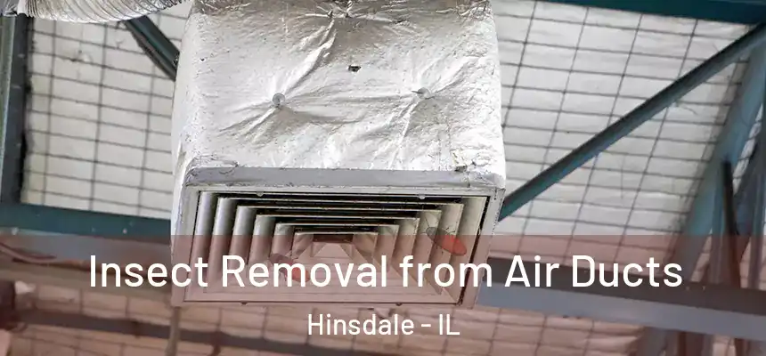  Insect Removal from Air Ducts Hinsdale - IL