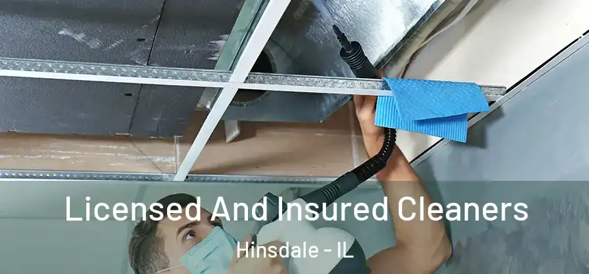  Licensed And Insured Cleaners Hinsdale - IL