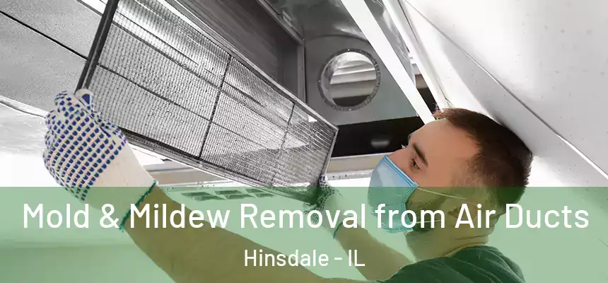 Mold & Mildew Removal from Air Ducts Hinsdale - IL