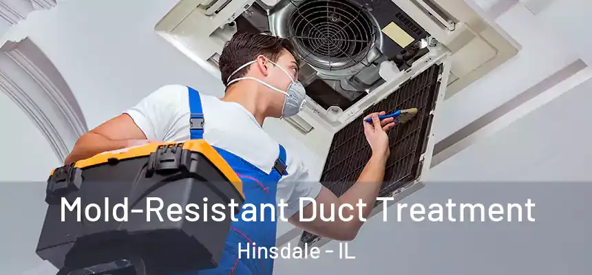  Mold-Resistant Duct Treatment Hinsdale - IL