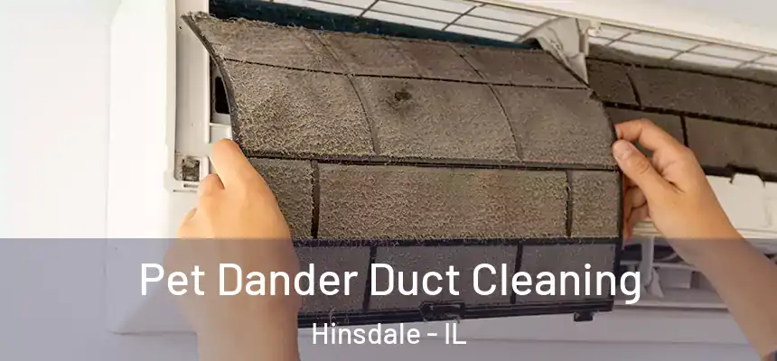  Pet Dander Duct Cleaning Hinsdale - IL