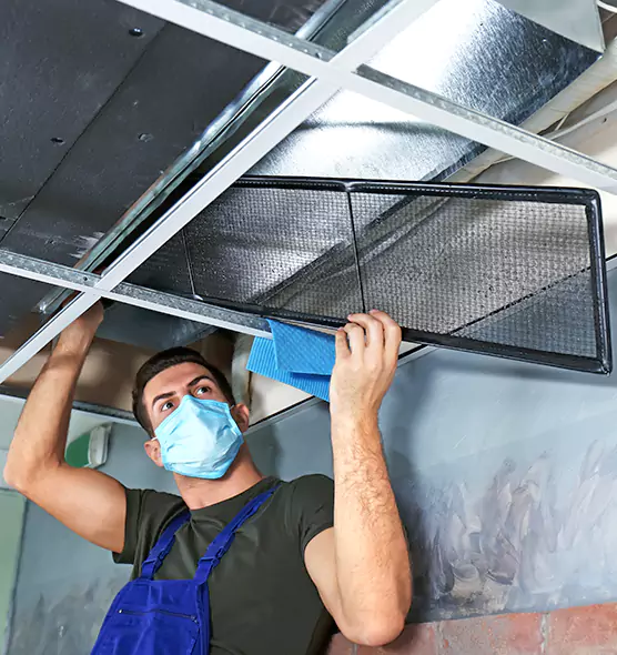 About Air Duct Bacteria Removal in Hinsdale