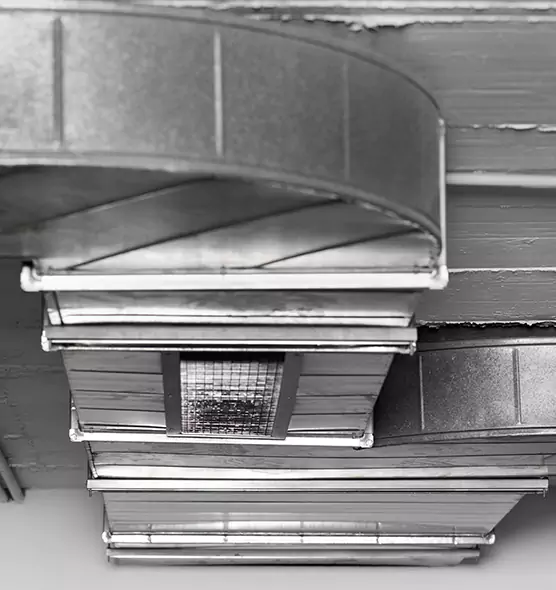 Professional Air Duct Pet Hair Removal in Hinsdale, IL