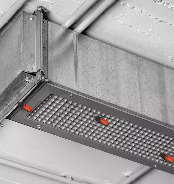 Affordable Insect Removal from Air Ducts in Hinsdale, IL