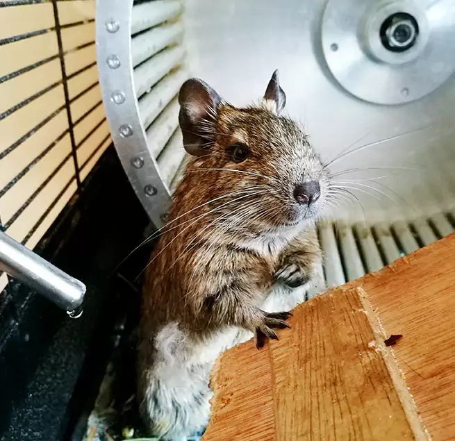 Why Homeowners & Businesses Trust Us Hinsdale, IL?