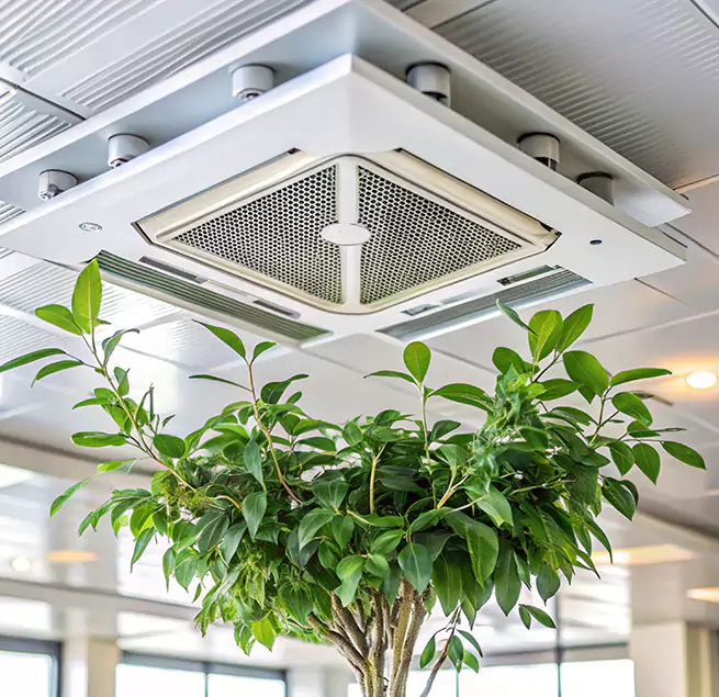 Why Homeowners & Businesses Trust Us in Hinsdale, IL