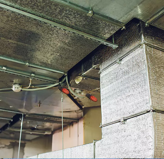 Why Homeowners & Businesses Trust Us Hinsdale, IL?